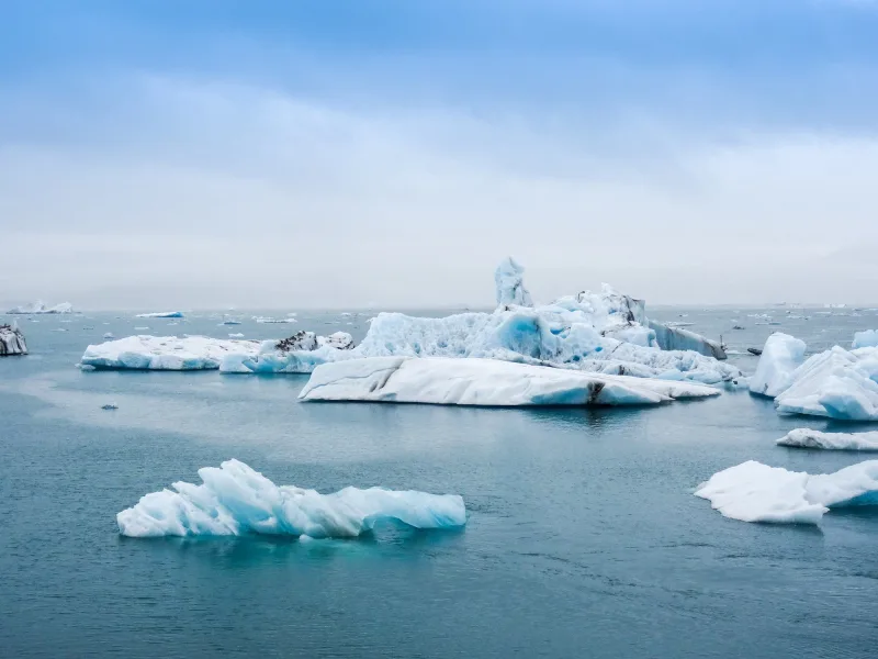 The Deadly Consequences of Ocean Warming and Glacier Melting