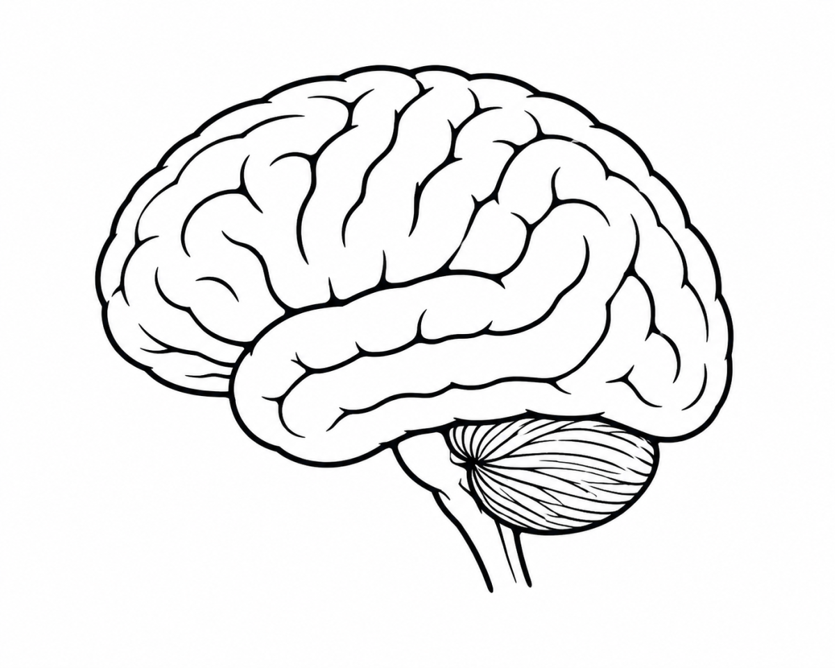 The Teenage Brain Under Construction: How brain development shapes teenage emotions