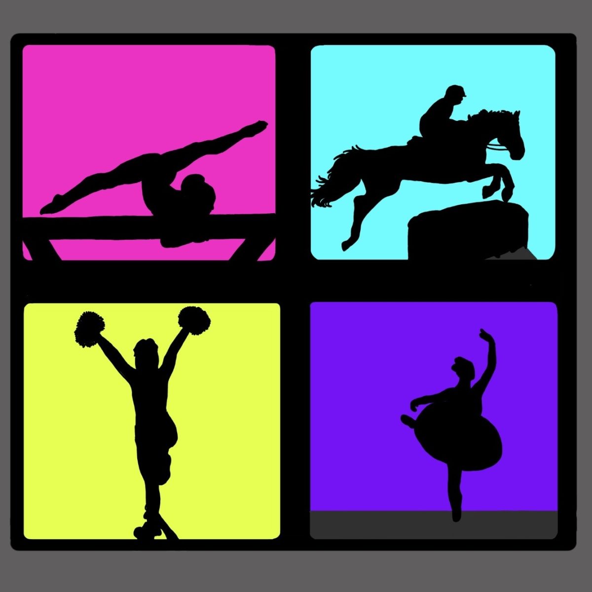 Four main debated sports/hobbies